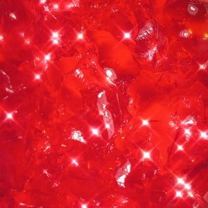 Meet your Posher, Rosie